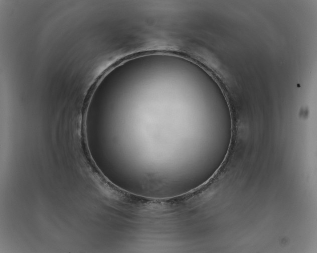 X0000091571220200708201137