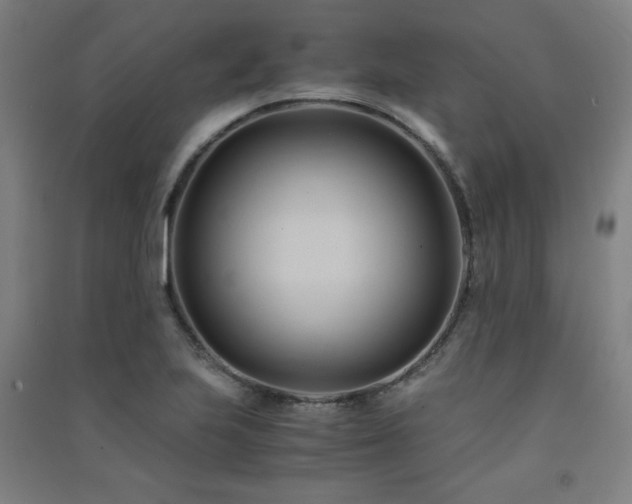 X0000091571223200708201137