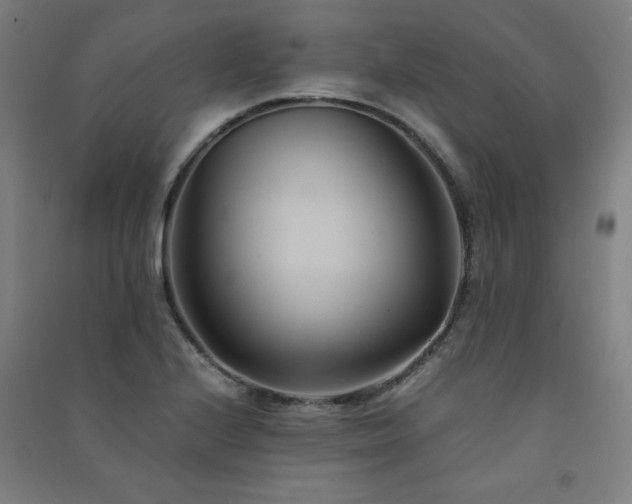 X0000091571224200708201137