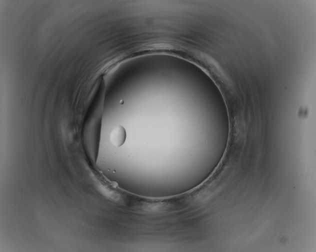 X0000091571225200708201138