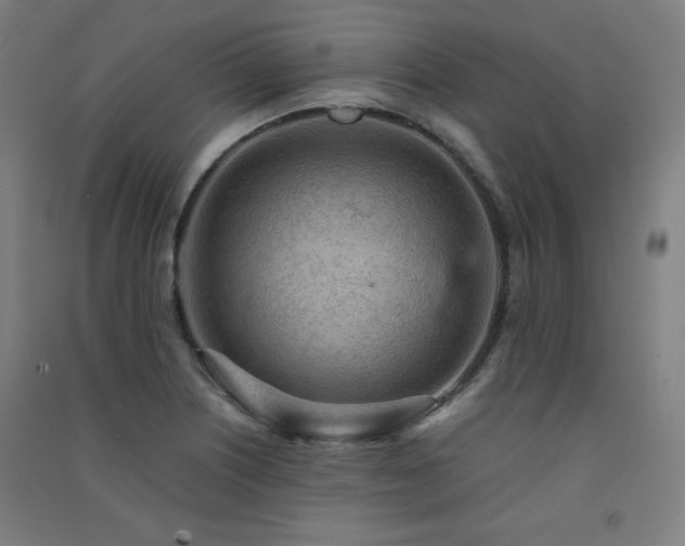 X0000091571226200708201138
