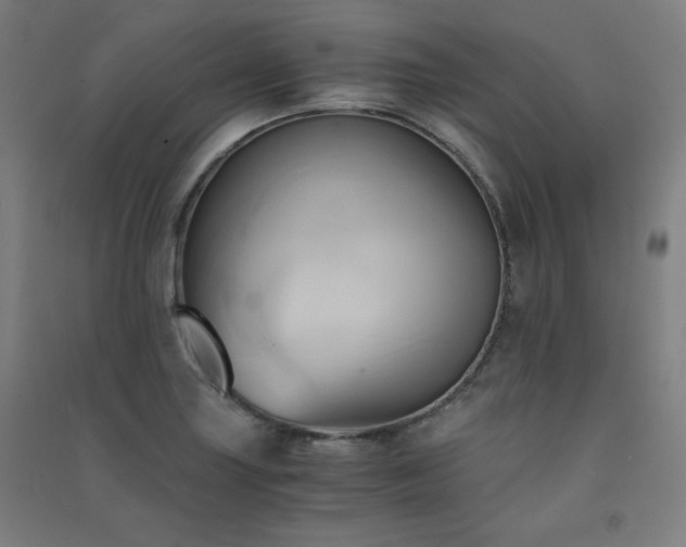 X0000091571227200708201138