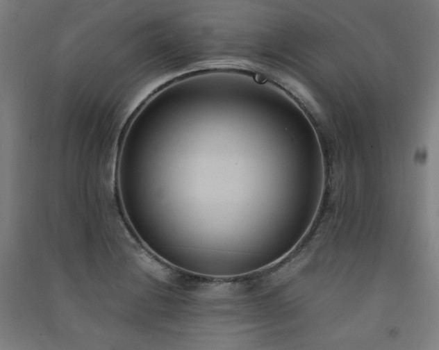 X0000091571228200708201138