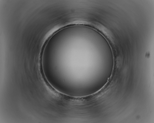 X0000091571229200708201138