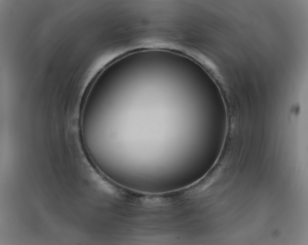 X0000091571231200708201138