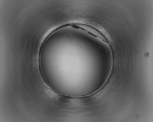 X0000091571232200708201138