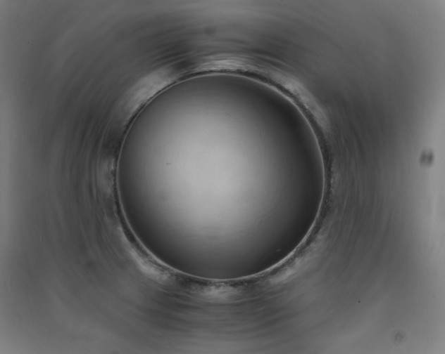 X0000091571233200708201138