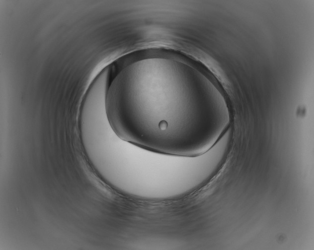X0000091571234200708201138