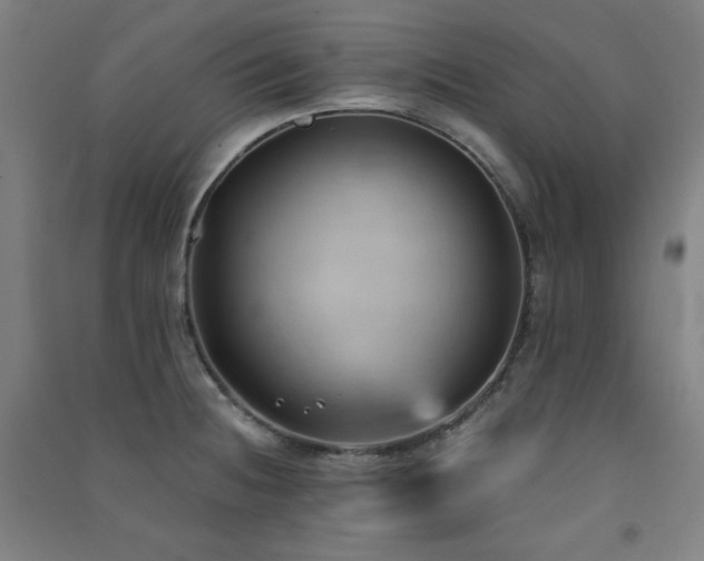 X0000091571236200708201138