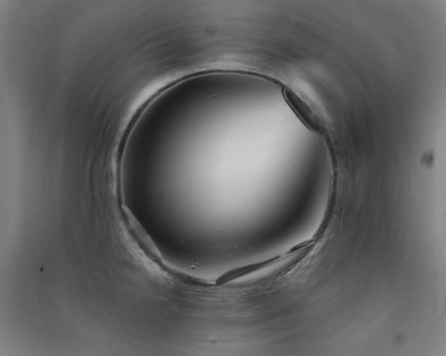 X0000091571238200708201138