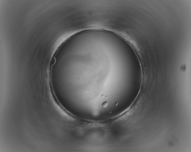 X0000091571239200708201138