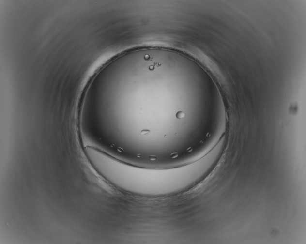 X0000091571240200708201138