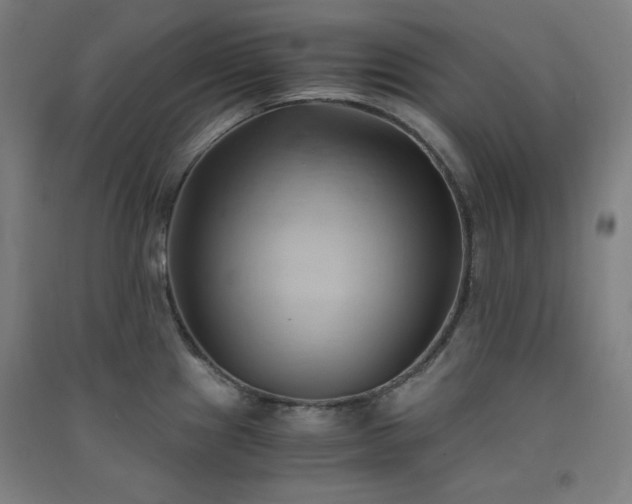 X0000091571241200708201138