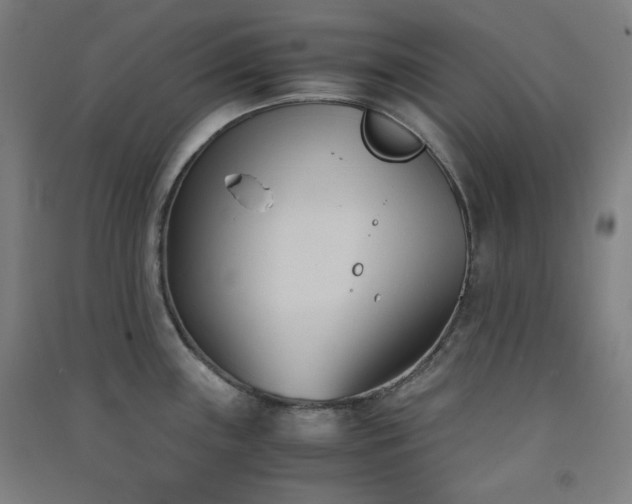 X0000091571243200708201138