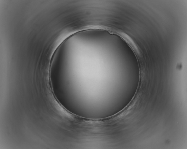 X0000091571244200708201138