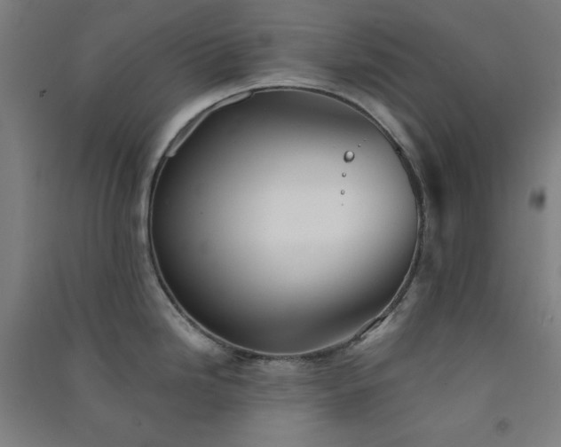 X0000091571246200708201138