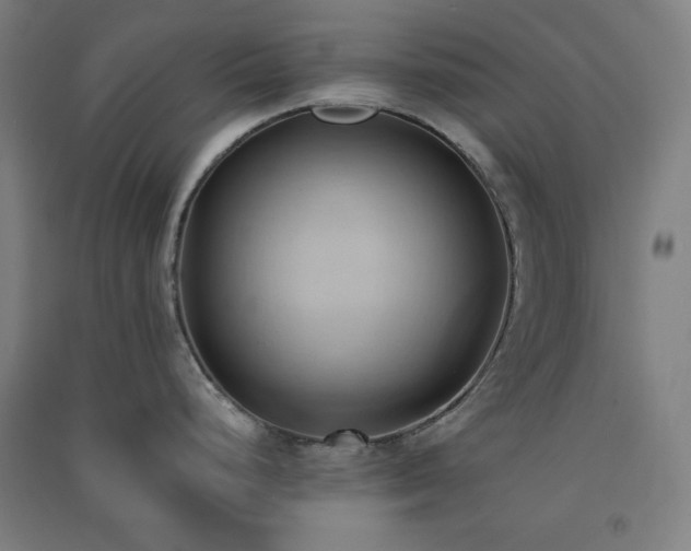 X0000091571248200708201138