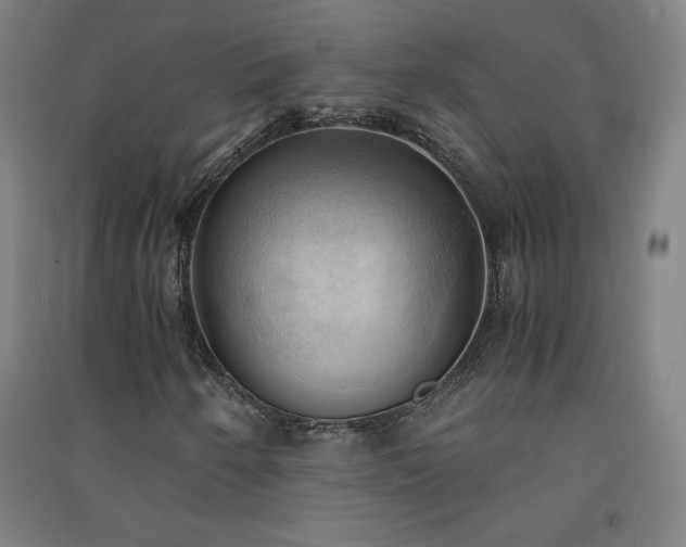 X0000091571250200708201137