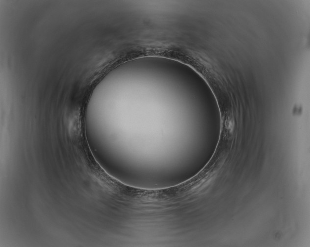 X0000091571252200708201137