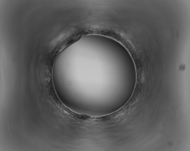 X0000091571253200708201137