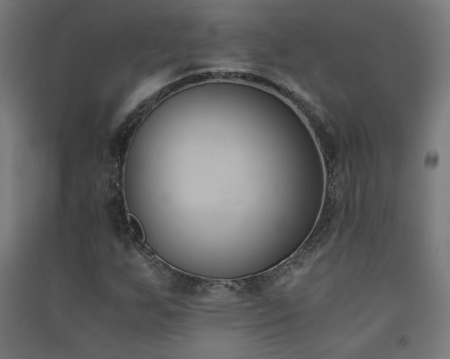 X0000091571255200708201137