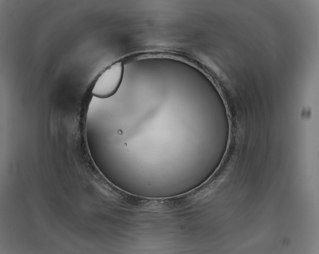 X0000091571259200708201137