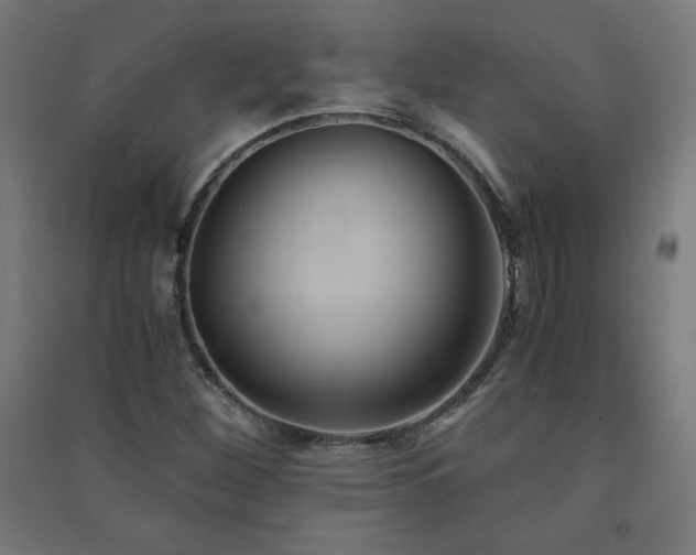 X0000091571260200708201137