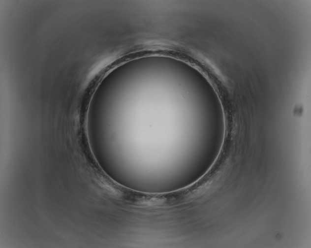 X0000091571261200708201137