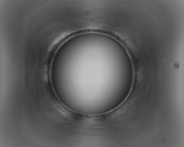 X0000091571262200708201137