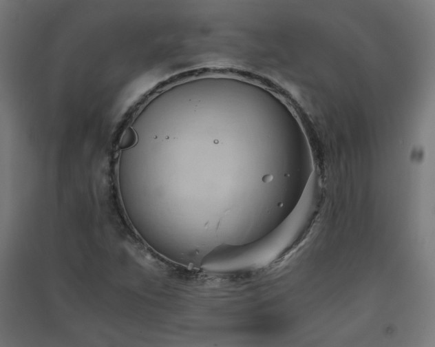 X0000091571263200708201137