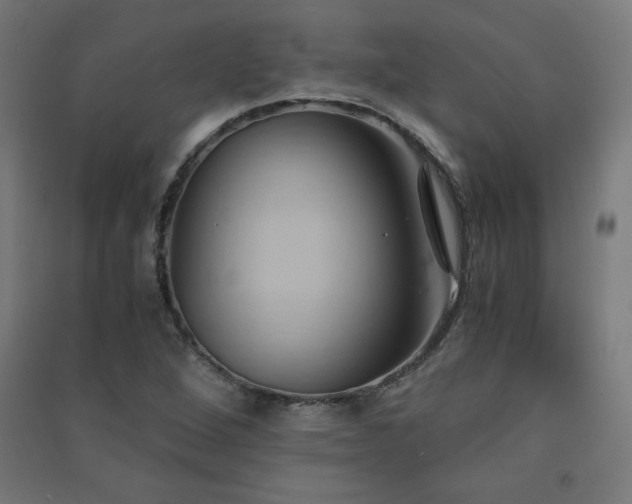 X0000091571264200708201137