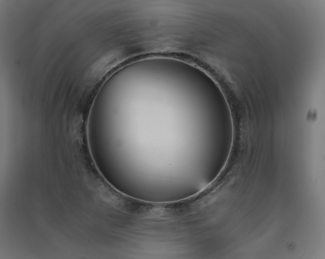 X0000091571265200708201137