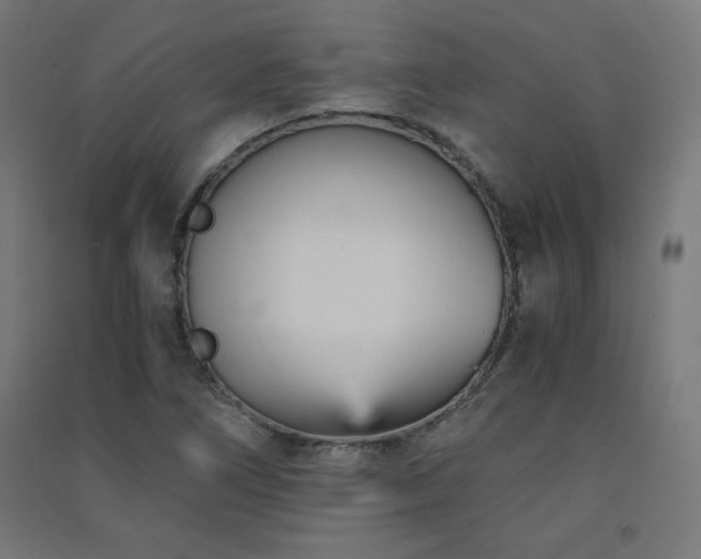 X0000091571266200708201137