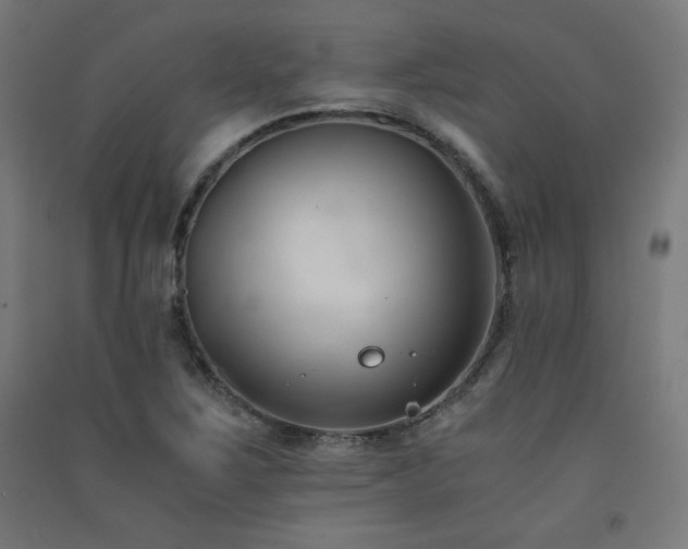 X0000091571267200708201137