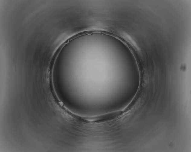 X0000091571268200708201137