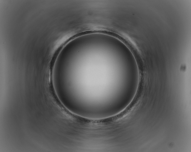 X0000091571269200708201137