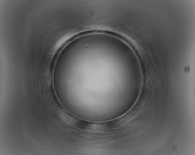 X0000091571271200708201137