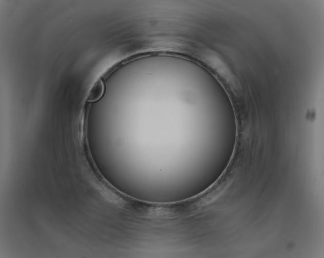 X0000091571275200708201137