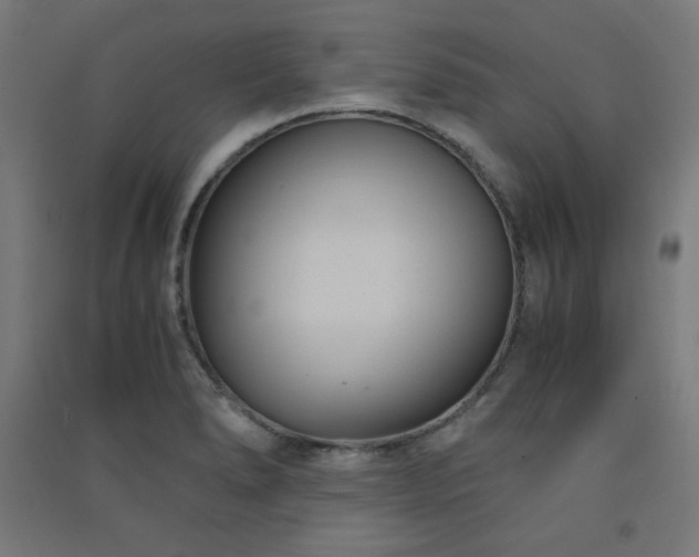 X0000091571278200708201137