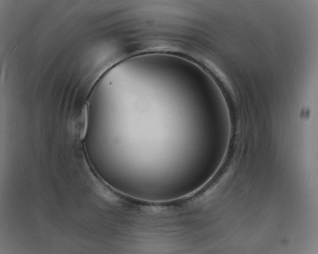 X0000091571281200708201137