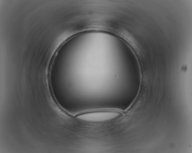 X0000091571283200708201137