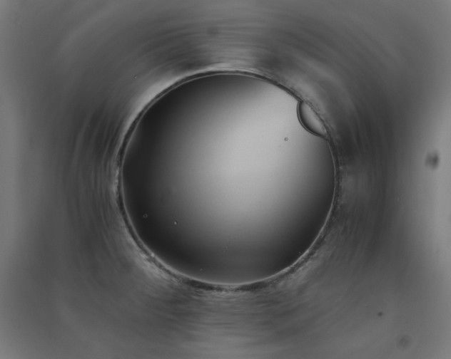 X0000091571284200708201137