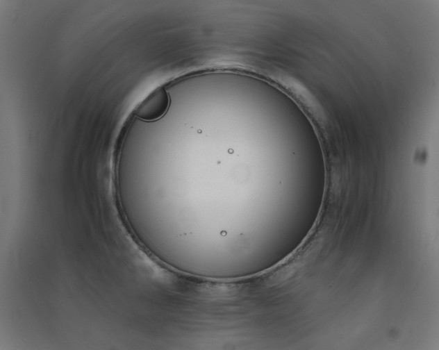 X0000091571286200708201137