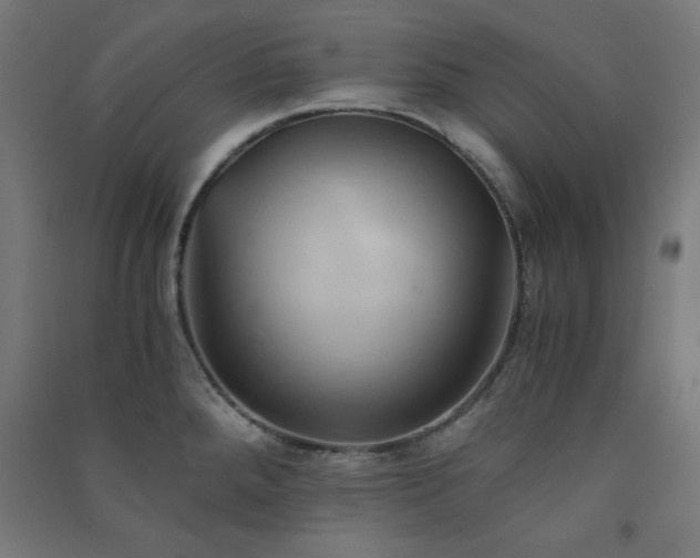 X0000091571288200708201137