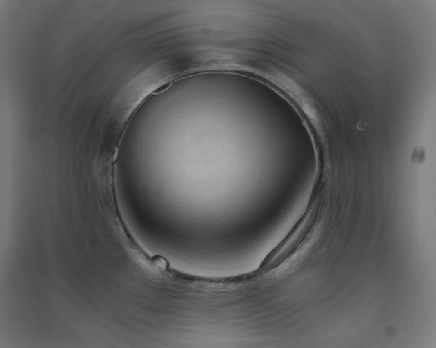 X0000091571289200708201137