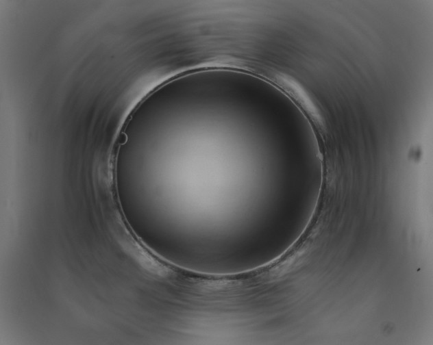 X0000091571292200708201136