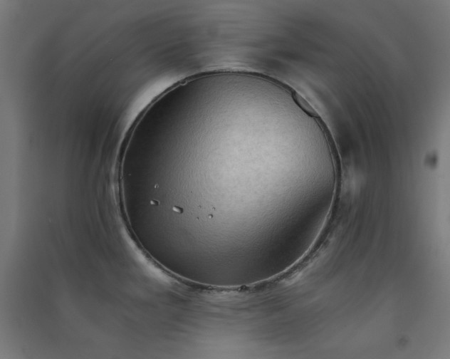 X0000091571293200708201136