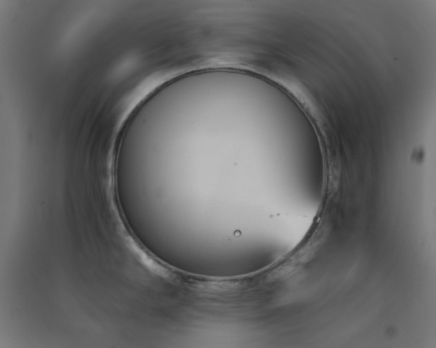 X0000091571294200708201136