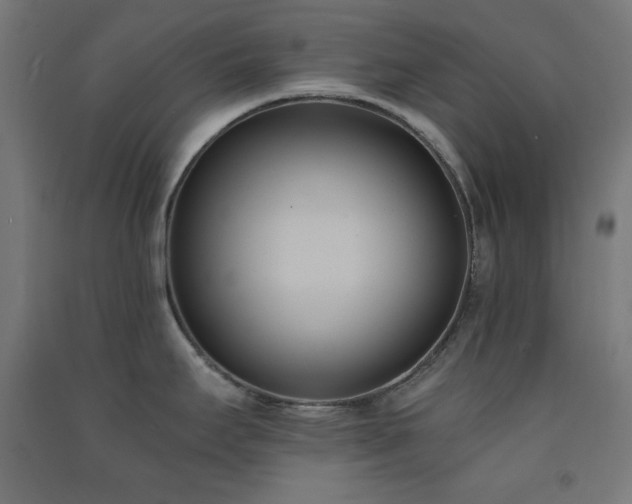 X0000091571295200708201136