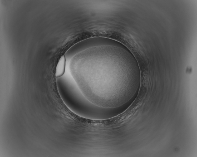 X0000091571297200708201136